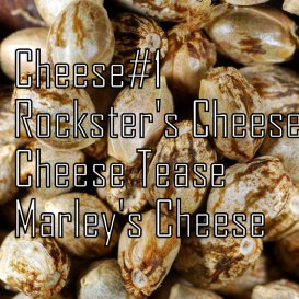 Cheese Quattro (Обычные)