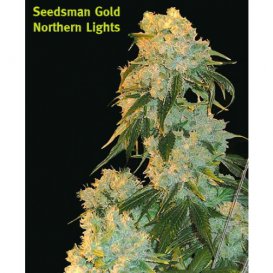 Seedsman Northern Lights (Обычные)