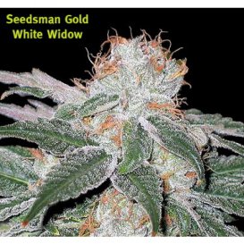 Seedsman White Widow (Феминизированные)