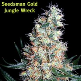 Seedsman Jungle Wreck (Обычные)