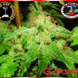 G-Bomb (Феминизированные)